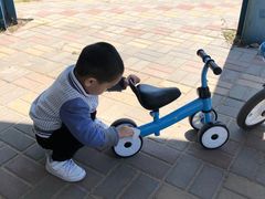 -大兴滨河森林公园