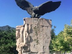 -北京鹫峰国家森林公园