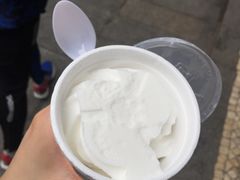 -洪馨椰子