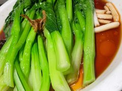 白灼菌菇菜心-新白鹿餐厅(金鹰新街口店)