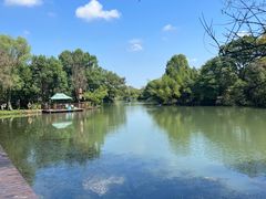 -西溪国家湿地公园