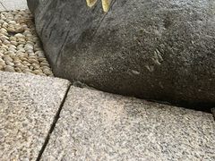 -西木兔(大圆祥店)