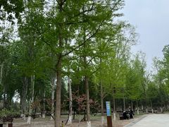 -东升八家郊野公园