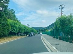 -树山生态村