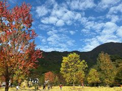 -塔川景区
