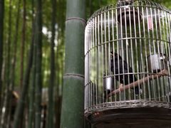 -苏州环秀晓筑养生度假村