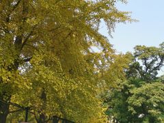 -辽宁大学(崇山校区)