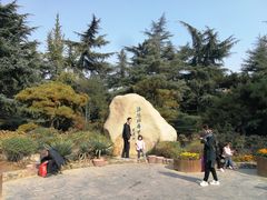 -西苑公园