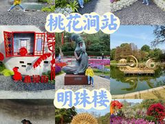 -广州市白云山风景名胜区