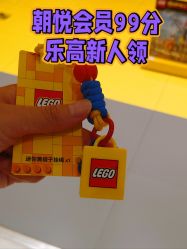 -乐高授权专卖店(朝阳大悦城店)