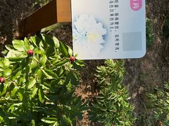 -仁和公园(顺义区)