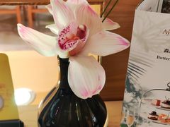 -The Lounge大堂酒廊·咖啡·沙拉·下午茶(金茂深圳JW万豪酒店)