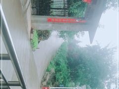 -盛世牡丹苑生态文化旅游区