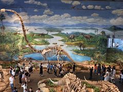 -自贡恐龙博物馆