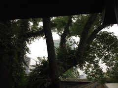 -星巴克(福州三坊七巷店)