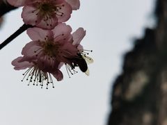 -南溪山景区