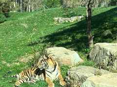 -北京野生动物园