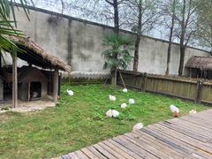 -乌村