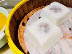 非遗白玉方糕-探花·意境江南菜·唐伯虎文化体验店·松鼠桂鱼(观前店)