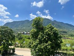 -广州市石门国家森林公园