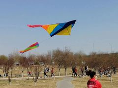 -永定河休闲森林公园