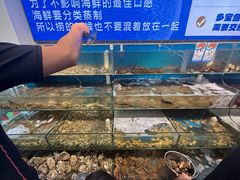 -仙螺岛海鲜自助餐厅(总店)