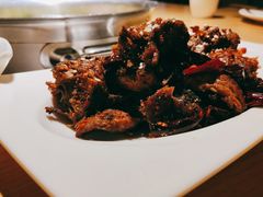 -守柴炉烤鸭(科华中路王府井店)