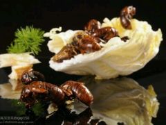香煎金蝉-亿尾水席(奥体中心店)