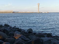 -上海吴淞炮台湾国家湿地公园