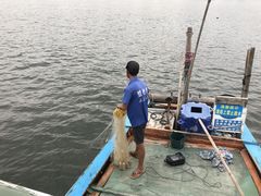 -碧桂园十里银滩