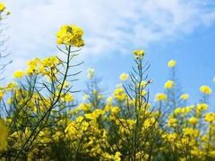 -上海大自然野生昆虫馆(东方明珠·爬宠昆虫探索中心)