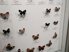 -吉林省自然博物馆