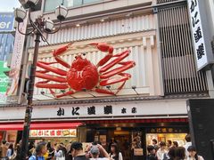 -蟹道乐(道顿堀本店)