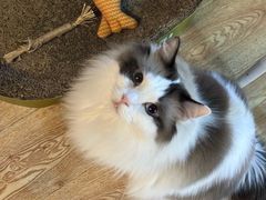 -白兔子密室(长寿路店)