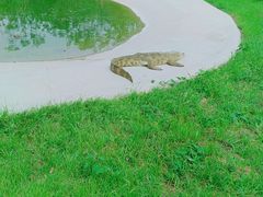 -秦皇岛野生动物园