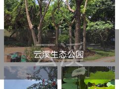 -云溪植物园