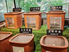 -王捌小院(红花坡店)
