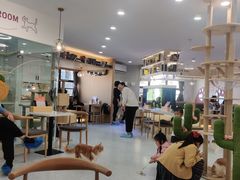 大堂-喵园·猫主题咖啡厅·撸猫·猫咖(国贸店)