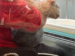 -PETKIT小佩宠物·低压洗护(国顺东路店)