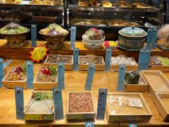 -蒙古苍狼蒙餐