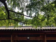 -成都武侯祠博物馆