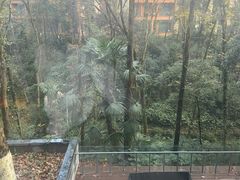 -拾溪餐厅·包厢(杭州千禧度假酒店)