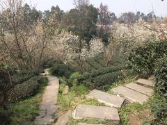 -樱桃山旅游景区