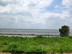 -合肥滨湖国家森林公园