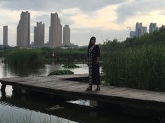 -前关湿地公园