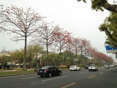 -文华公园(禅城区)