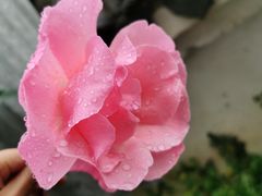 -竹园小居(石塘竹海店)