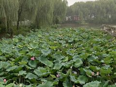 -绍兴鉴湖君澜大酒店