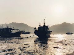 -北岐滩涂