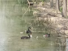 -昆山城市生态森林公园